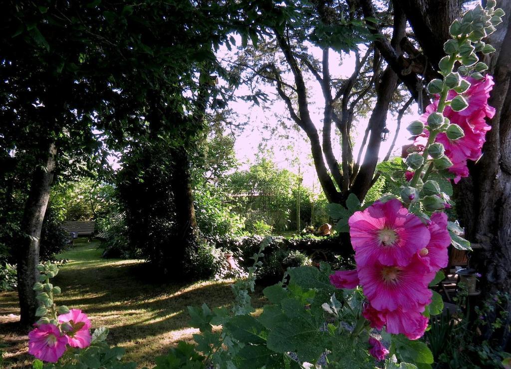 La Claverie Sainte-Radégonde-des-Noyers Exteriér fotografie